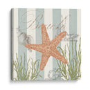 Seashells Por La Orilla Del Mar I - Jade Reynolds | Cuadro decorativo de Canvas Lab