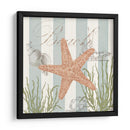 Seashells Por La Orilla Del Mar I - Jade Reynolds | Cuadro decorativo de Canvas Lab