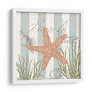 Seashells Por La Orilla Del Mar I - Jade Reynolds | Cuadro decorativo de Canvas Lab