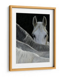 Caballo curioso asomándose - Milan Malovrh | Cuadro decorativo de Canvas Lab