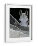 Caballo curioso asomándose - Milan Malovrh | Cuadro decorativo de Canvas Lab