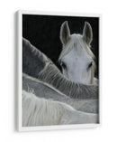 Caballo curioso asomándose - Milan Malovrh | Cuadro decorativo de Canvas Lab