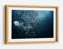 Escuela de tortugas marinas majestuosas - Andrey Narchuk | Cuadro decorativo de Canvas Lab