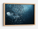 Escuela de tortugas marinas majestuosas - Andrey Narchuk | Cuadro decorativo de Canvas Lab