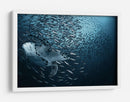 Escuela de tortugas marinas majestuosas - Andrey Narchuk | Cuadro decorativo de Canvas Lab