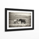Caballos salvajes juntos - Vedran Vidak | Cuadro decorativo de Canvas Lab