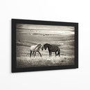 Caballos salvajes juntos - Vedran Vidak | Cuadro decorativo de Canvas Lab