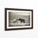 Caballos salvajes juntos - Vedran Vidak | Cuadro decorativo de Canvas Lab