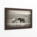 Caballos salvajes juntos - Vedran Vidak | Cuadro decorativo de Canvas Lab