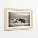 Caballos salvajes juntos - Vedran Vidak | Cuadro decorativo de Canvas Lab