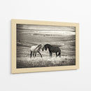 Caballos salvajes juntos - Vedran Vidak | Cuadro decorativo de Canvas Lab