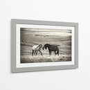Caballos salvajes juntos - Vedran Vidak | Cuadro decorativo de Canvas Lab