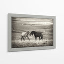 Caballos salvajes juntos - Vedran Vidak | Cuadro decorativo de Canvas Lab