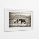 Caballos salvajes juntos - Vedran Vidak | Cuadro decorativo de Canvas Lab