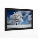 Árbol de invierno congelado - Nicolas Schumacher | Cuadro decorativo de Canvas Lab