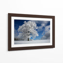 Árbol de invierno congelado - Nicolas Schumacher | Cuadro decorativo de Canvas Lab