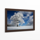 Árbol de invierno congelado - Nicolas Schumacher | Cuadro decorativo de Canvas Lab