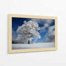 Árbol de invierno congelado - Nicolas Schumacher | Cuadro decorativo de Canvas Lab