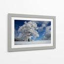 Árbol de invierno congelado - Nicolas Schumacher | Cuadro decorativo de Canvas Lab