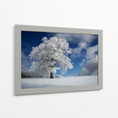 Árbol de invierno congelado - Nicolas Schumacher | Cuadro decorativo de Canvas Lab