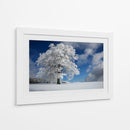 Árbol de invierno congelado - Nicolas Schumacher | Cuadro decorativo de Canvas Lab