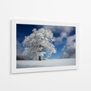 Árbol de invierno congelado - Nicolas Schumacher | Cuadro decorativo de Canvas Lab