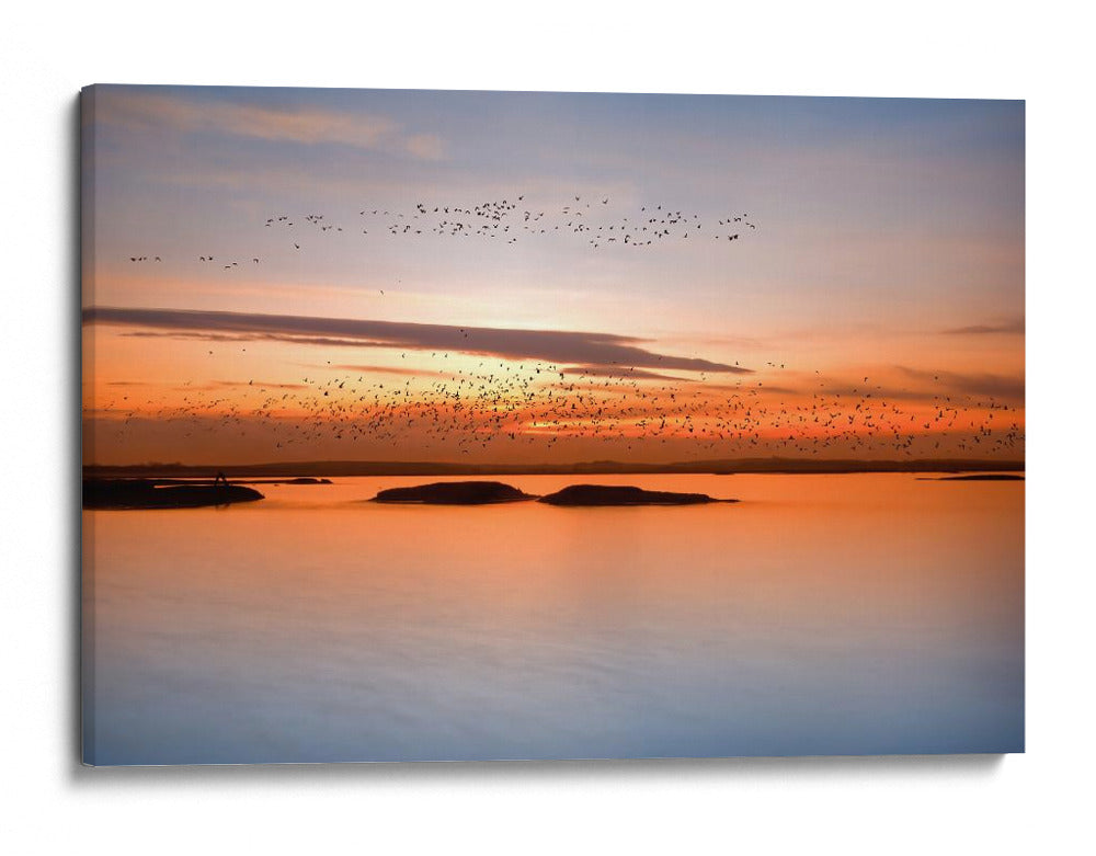 Vuelo al atardecer sereno - Piotr Krol (Bax) | Cuadro decorativo de Canvas Lab