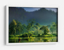 Lago del bosque brumoso - hardibudi | Cuadro decorativo de Canvas Lab