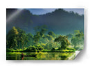 Lago del bosque brumoso - hardibudi | Cuadro decorativo de Canvas Lab