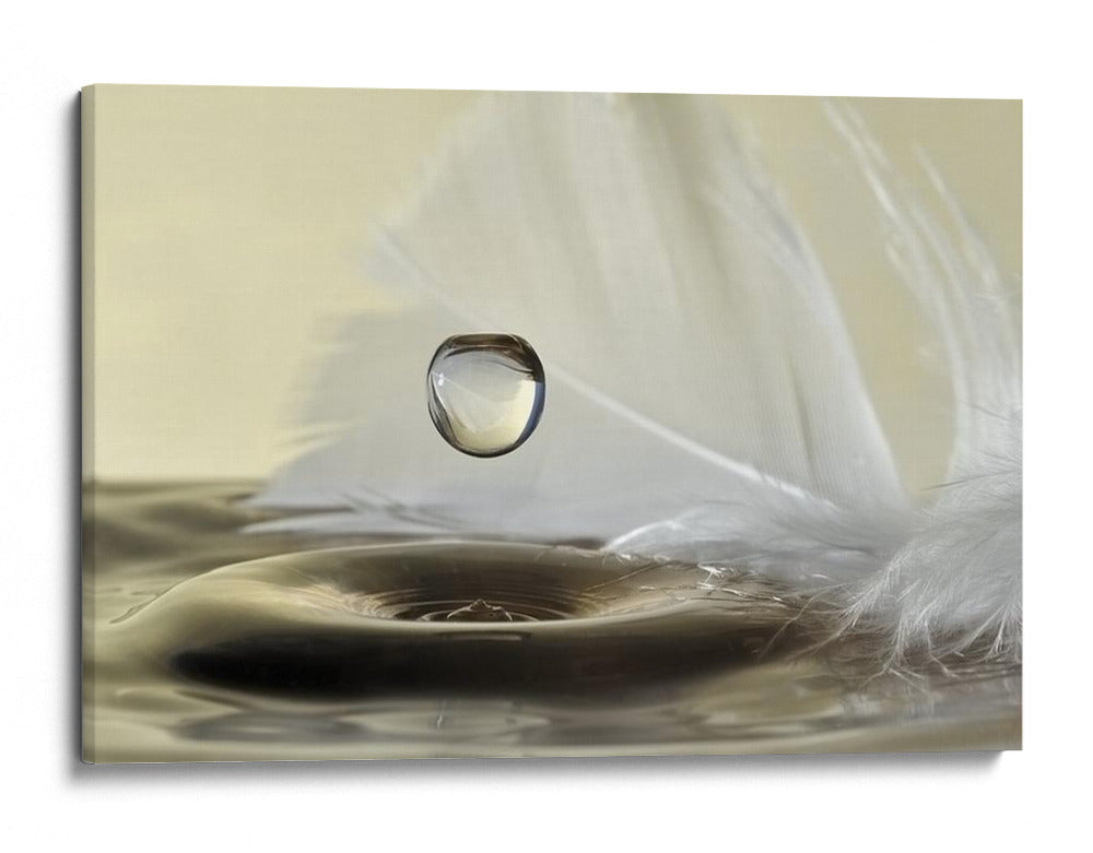 Pluma de agua serena - Heidi Westum | Cuadro decorativo de Canvas Lab