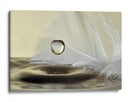 Pluma de agua serena - Heidi Westum | Cuadro decorativo de Canvas Lab