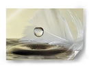 Pluma de agua serena - Heidi Westum | Cuadro decorativo de Canvas Lab