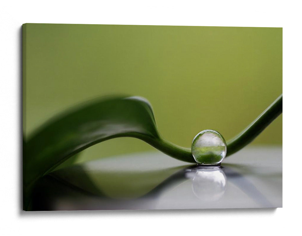 Gota de agua serena - Heidi Westum | Cuadro decorativo de Canvas Lab