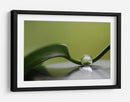 Gota de agua serena - Heidi Westum | Cuadro decorativo de Canvas Lab