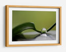 Gota de agua serena - Heidi Westum | Cuadro decorativo de Canvas Lab
