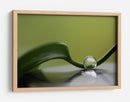 Gota de agua serena - Heidi Westum | Cuadro decorativo de Canvas Lab