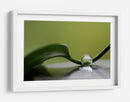 Gota de agua serena - Heidi Westum | Cuadro decorativo de Canvas Lab