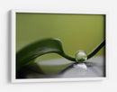 Gota de agua serena - Heidi Westum | Cuadro decorativo de Canvas Lab