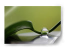 Gota de agua serena - Heidi Westum | Cuadro decorativo de Canvas Lab
