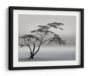 Paisaje de árbol solitario - Piet Flour | Cuadro decorativo de Canvas Lab
