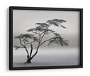 Paisaje de árbol solitario - Piet Flour | Cuadro decorativo de Canvas Lab