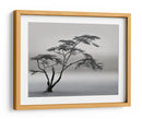 Paisaje de árbol solitario - Piet Flour | Cuadro decorativo de Canvas Lab