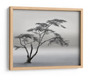 Paisaje de árbol solitario - Piet Flour | Cuadro decorativo de Canvas Lab