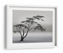 Paisaje de árbol solitario - Piet Flour | Cuadro decorativo de Canvas Lab