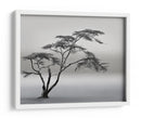 Paisaje de árbol solitario - Piet Flour | Cuadro decorativo de Canvas Lab