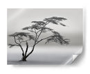 Paisaje de árbol solitario - Piet Flour | Cuadro decorativo de Canvas Lab