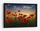 Campo de amapolas al atardecer - Albena Markova | Cuadro decorativo de Canvas Lab