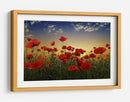 Campo de amapolas al atardecer - Albena Markova | Cuadro decorativo de Canvas Lab
