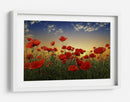 Campo de amapolas al atardecer - Albena Markova | Cuadro decorativo de Canvas Lab