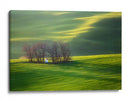 Capilla en los campos verdes - Krzysztof Browko | Cuadro decorativo de Canvas Lab